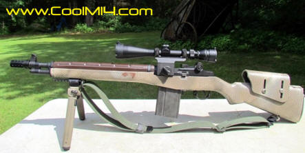 Bula H&R M14 Punisher