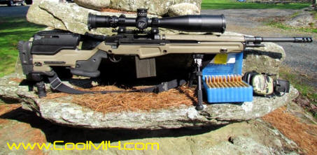 LRB M25 Ten Dot Rifle