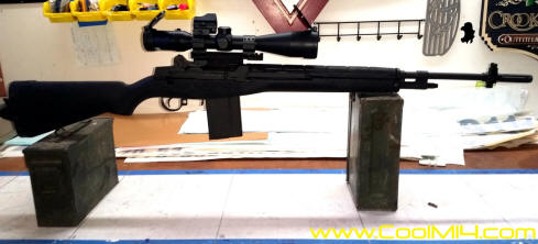 M14 Standard Scoped