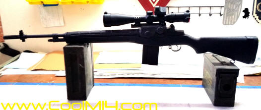 M14 Standard Scoped